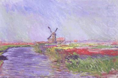 Claude Monet Champ de Tulipes china oil painting image